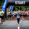 Rhein-Ruhr-Marathon_web_Bildwerk_Brueggemann_018